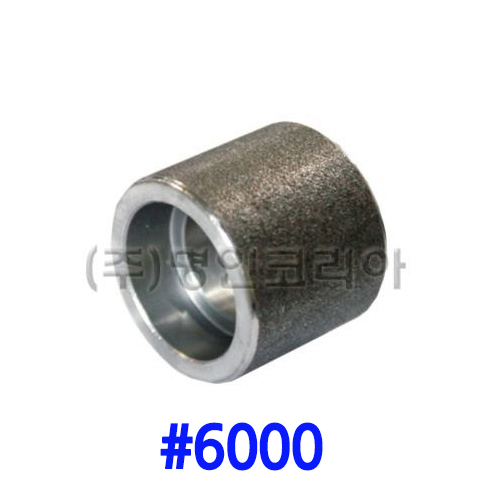 단조 용접레듀샤 철(A105)#6000(19698) - 명인코리아