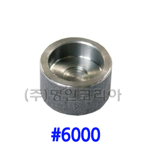 단조 용접캡 철(A105)#6000(19700) - 명인코리아