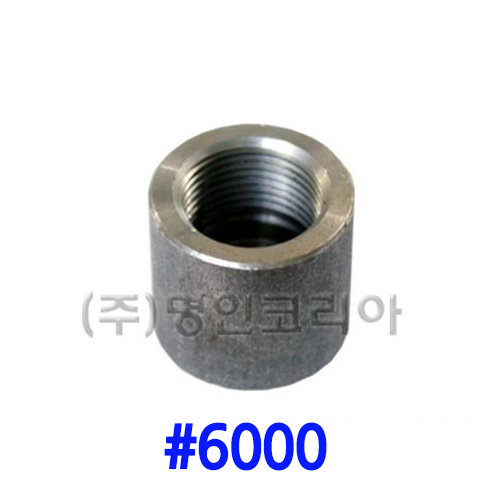 단조 나사캡 철(A105)#6000(19701) - 명인코리아