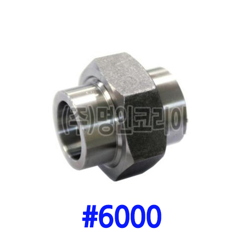 단조 용접유니온 철(A105)#6000(19703) - 명인코리아